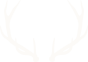 icoon
